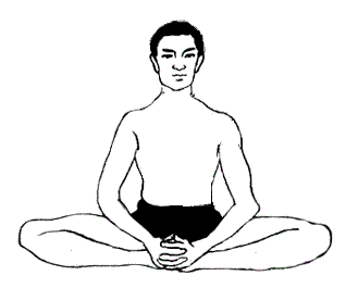 భద్రాసనము