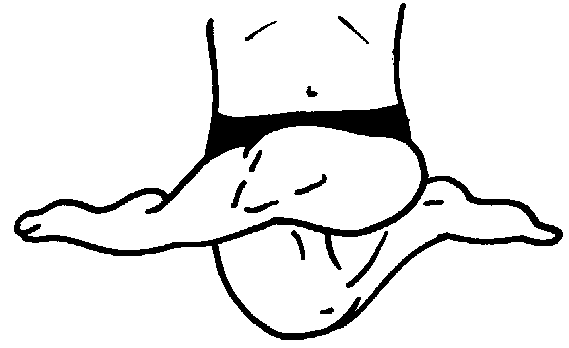 గోముఖాసనము