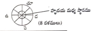 ఎనిమిది-దళములు
