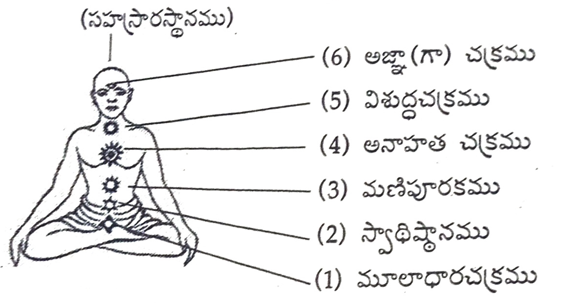 గర్భ-ఉపనిషత్-దేహములో-ఆరు-చక్ర-స్థానములు