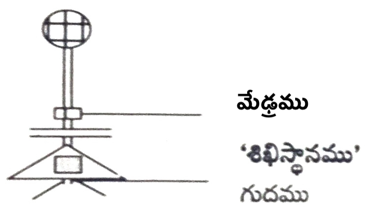 దర్శన-ఉపనిషత్-శరీర-నాడీ-నిర్మాణము