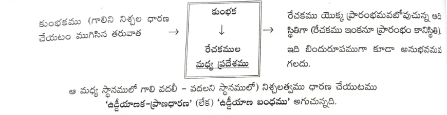 యోగశిఖ-ఉపనిషత్-ఉడ్డీయాణ-కుంభకం