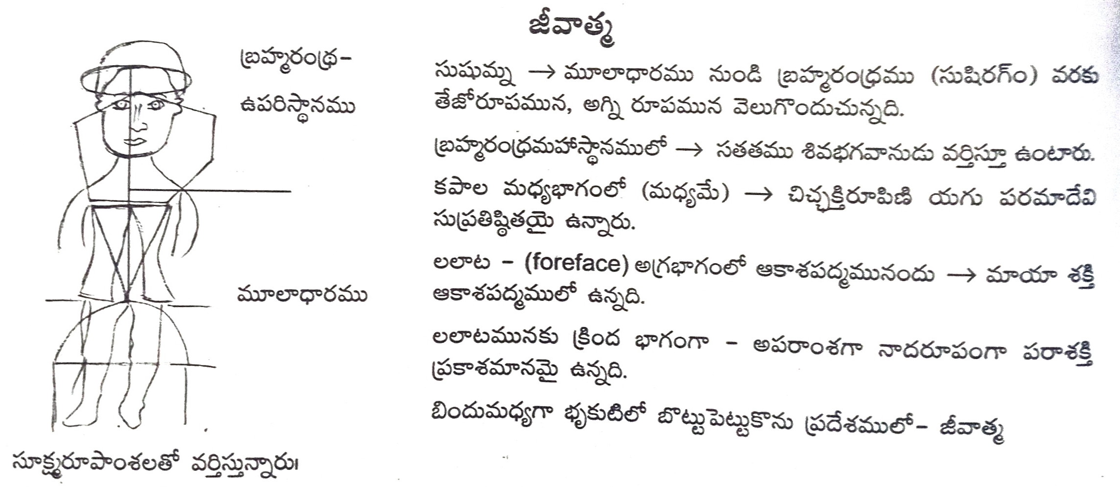 యోగశిఖ-ఉపనిషత్-జీవాత్మ