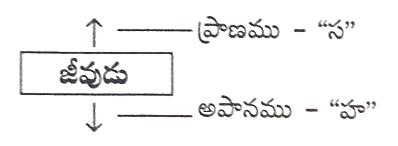 యోగశిఖ-ఉపనిషత్-ప్రాణము-అపానము