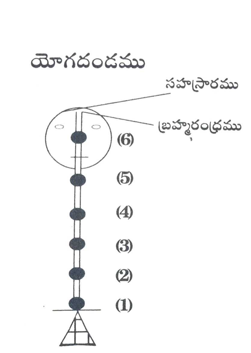 యోగదండము