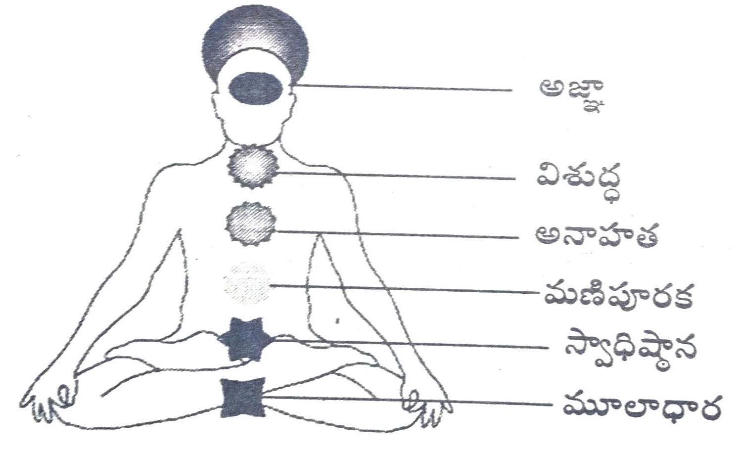 ఊర్ధ్వగామి - ప్రణవము