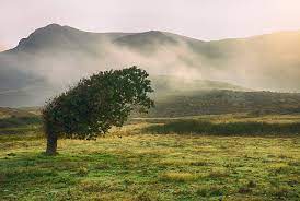 గాలి-చెట్లు-కొండ