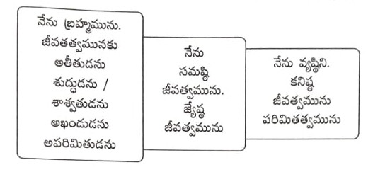 జీవ సమిష్టి బ్రాహ్మీ భావములు