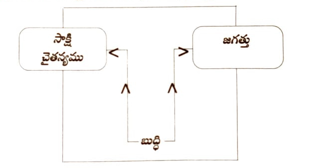 సాక్షిచైతన్యము - బుద్ధి - జగత్